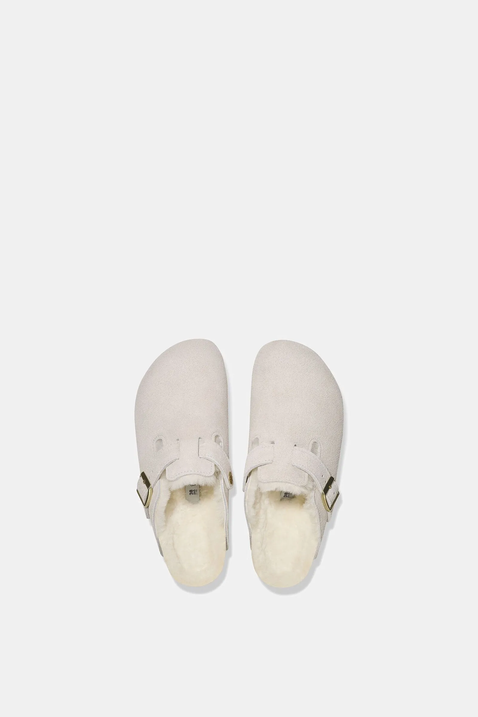 Boston Shearling